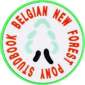 belgian new forrest